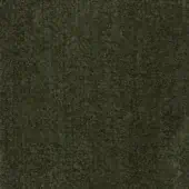 Hylemt 207